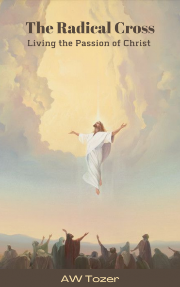 The Radical Cross: Living the Passion of Christ