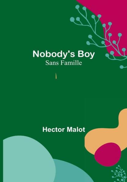 Nobody's Boy :  Sans Famille