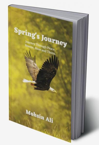 Springs Journey