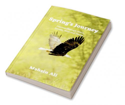 Springs Journey