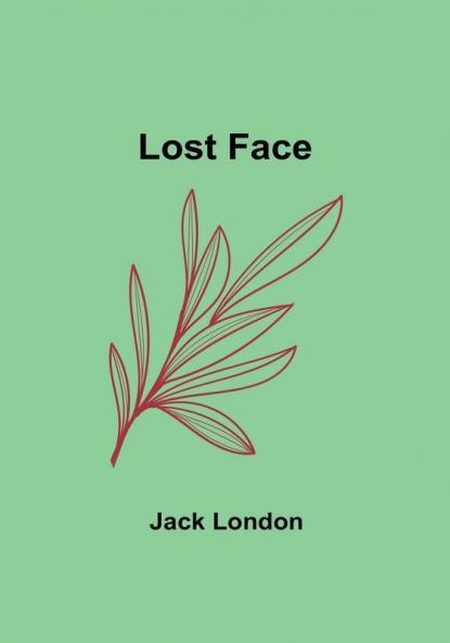 Lost Face