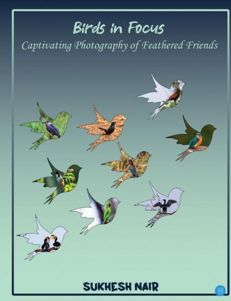 Birds in Focus Captivating Photography of Feathered Friends