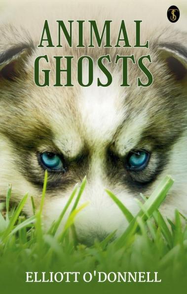 Animal Ghosts