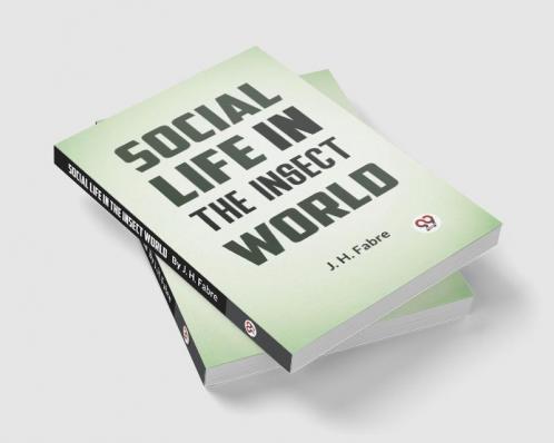 Social Life in the Insect World