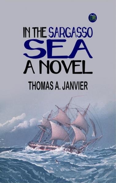 In the Sargasso Sea A Novel