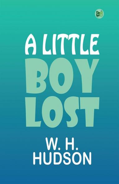 A Little Boy Lost