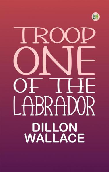 Troop One of the Labrador