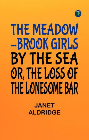 The Meadow-Brook Girls by the Sea; Or The Loss of The Lonesome Bar