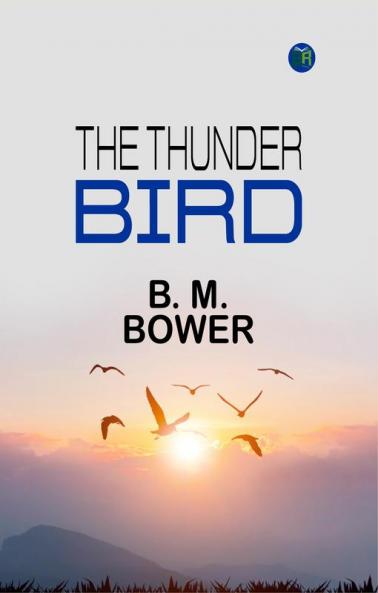 The Thunder Bird