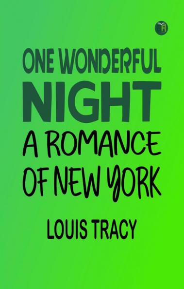 One Wonderful Night: A Romance of New York
