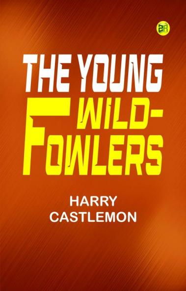 The Young Wild-Fowlers