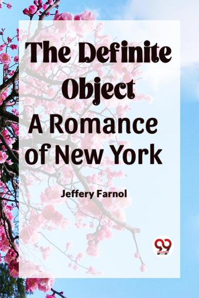 The Definite Object A Romance Of New York