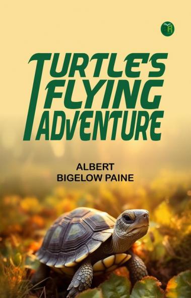 Mr. Turtle's Flying Adventure
