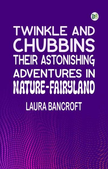 Twinkle and Chubbins: Their Astonishing Adventures in Nature-Fairyland