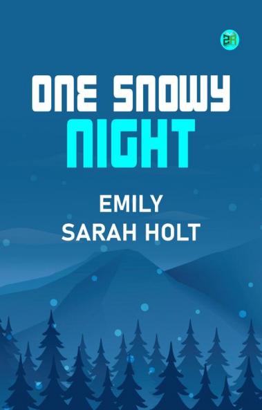 One Snowy Night