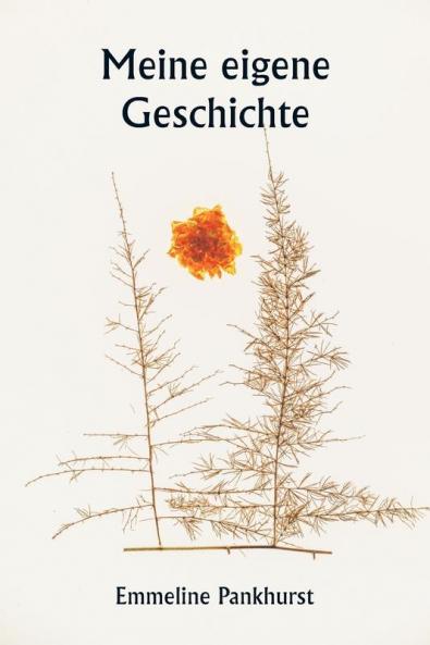 Meine eigene Geschichte