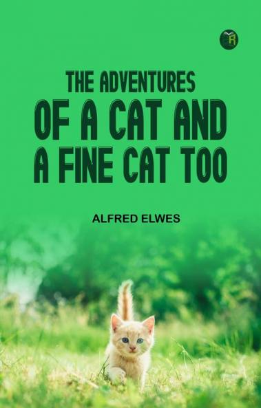 The Adventures of a Cat and a Fine Cat Too!