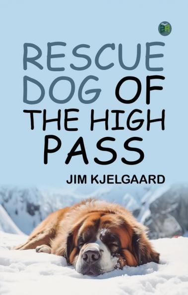 Rescue Dog of the High Pass