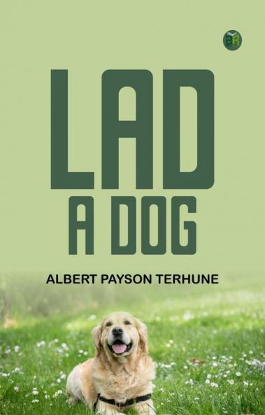 Lad: A Dog