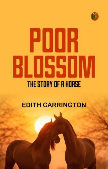Poor Blossom: The Story of a Horse