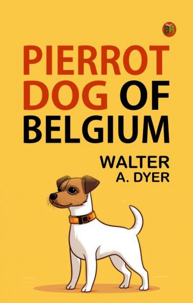 Pierrot Dog of Belgium