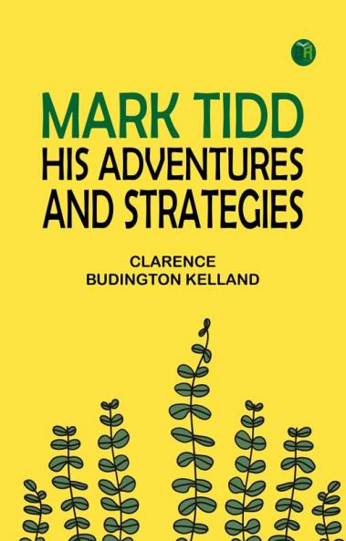 Mark Tidd: His Adventures and Strategies