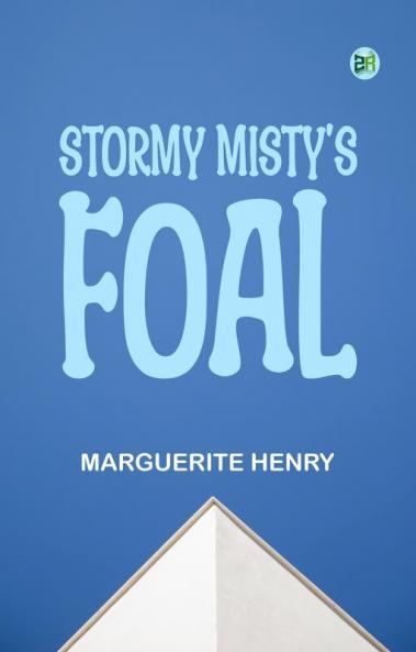 Stormy Misty's Foal