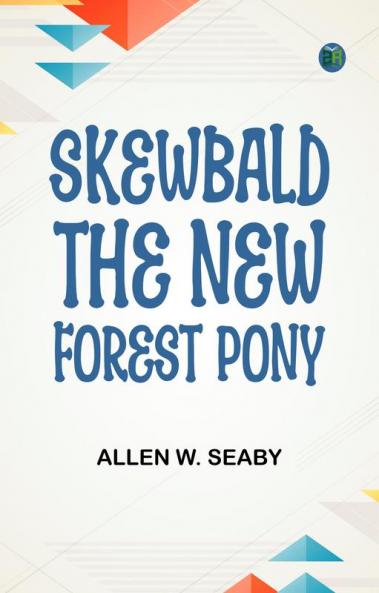 Skewbald the New Forest Pony