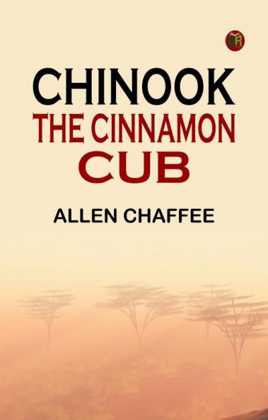 Chinook the Cinnamon Cub