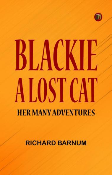 Blackie a Lost Cat: Her Many Adventures