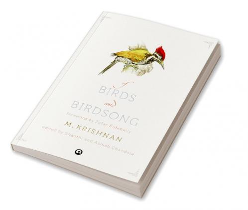 Of Birds and birds song