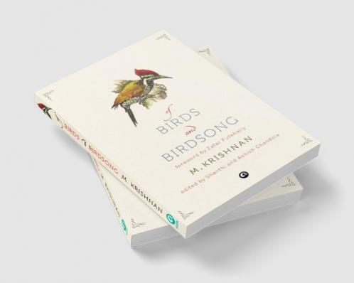 Of Birds and birds song