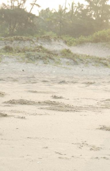 Titchy Stories for you honey pumpkin