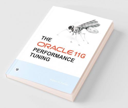 The Oracle 11g Performance Tuning