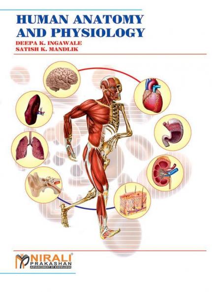 Human Anatomy And Physiology