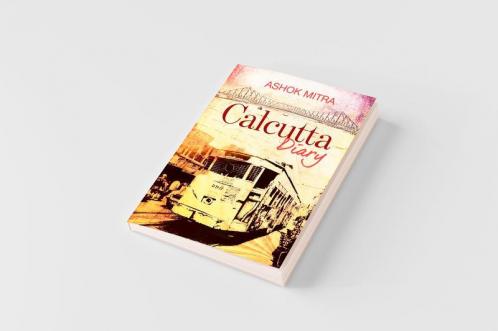 Calcutta Diary