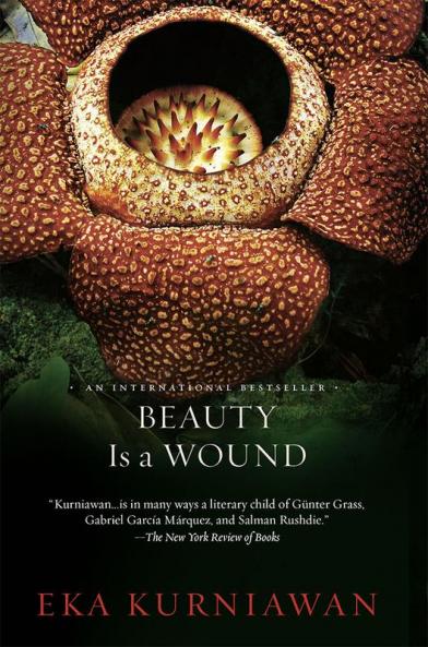 Beauty Is a Wound