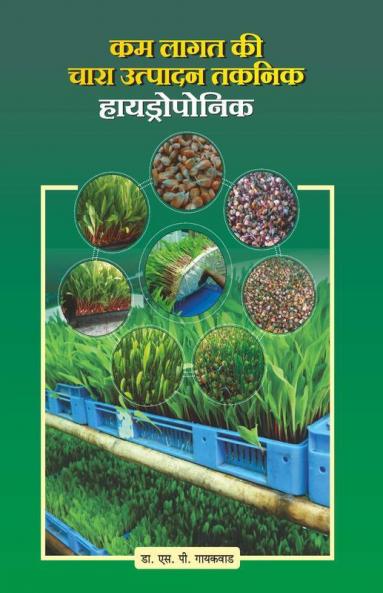 Kam Lagat ki Chara Utpadan Taknik Hydroponics