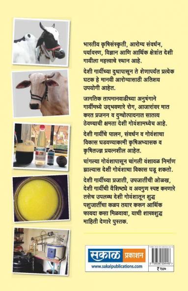 Deshi Govansha : Sakal Agrowon