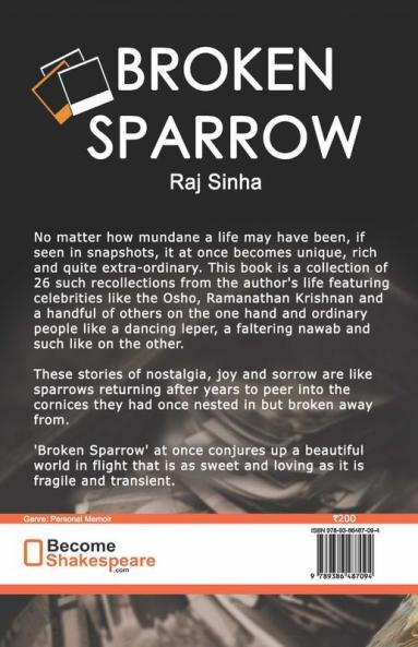 Broken Sparrow