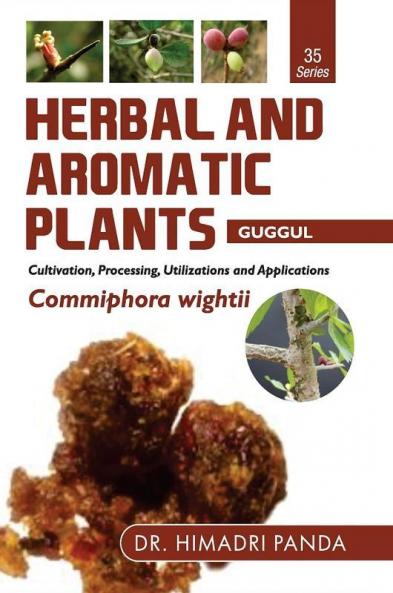 HERBAL AND AROMATIC PLANTS – 35. Commiphora wightii (Guggul)