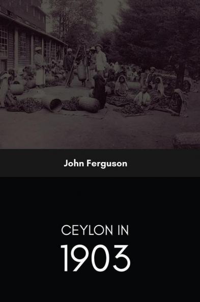 Ceylon In 1903 Describing The Progress Of The Island Since 1803