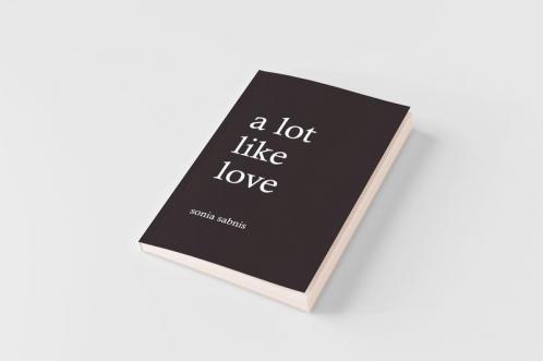 A Lot Like Love