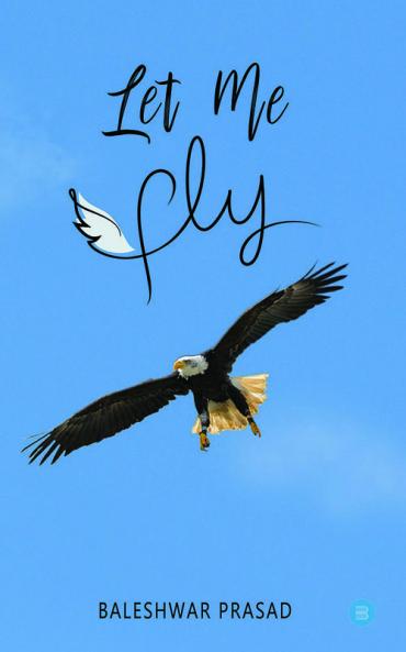LET ME FLY
