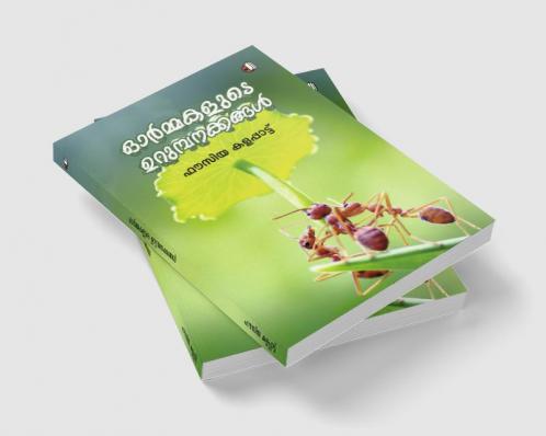 Ormmakalude Urumpanakkangal