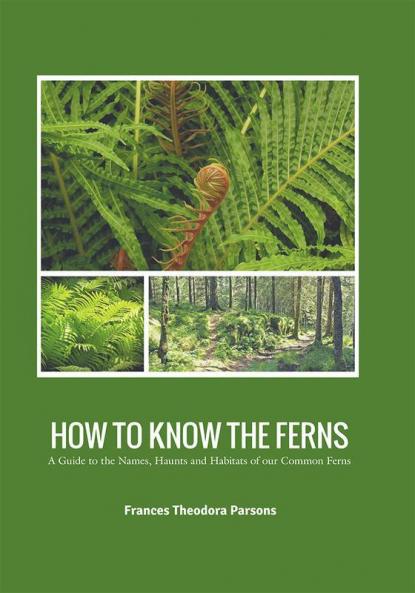 HOW TO KNOW THE FERNS