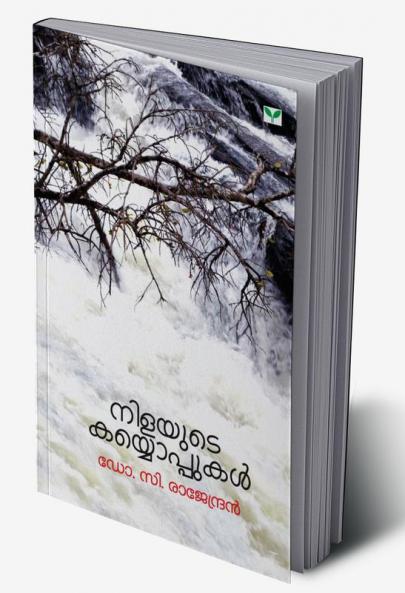 Nilayute Kayyoppukal