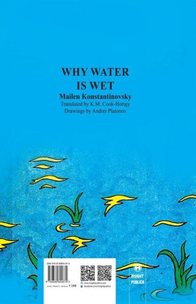 Why Water is Wet
