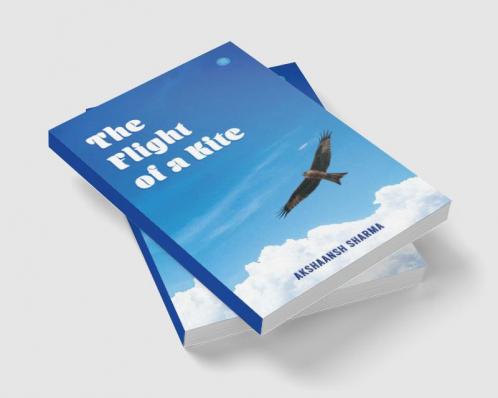 The Flight of a Kite
