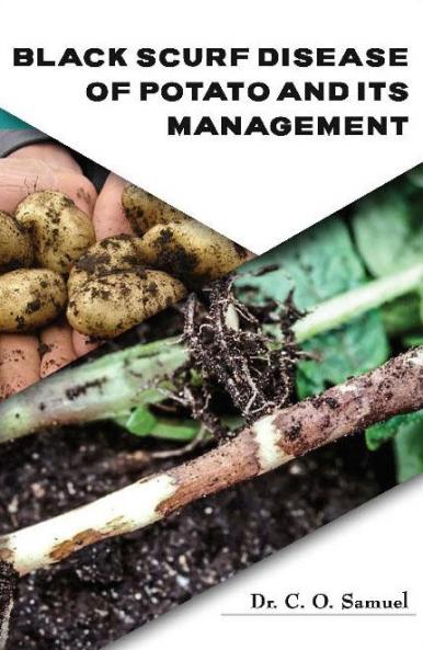 Black Scurf Disease of Potato and its Management